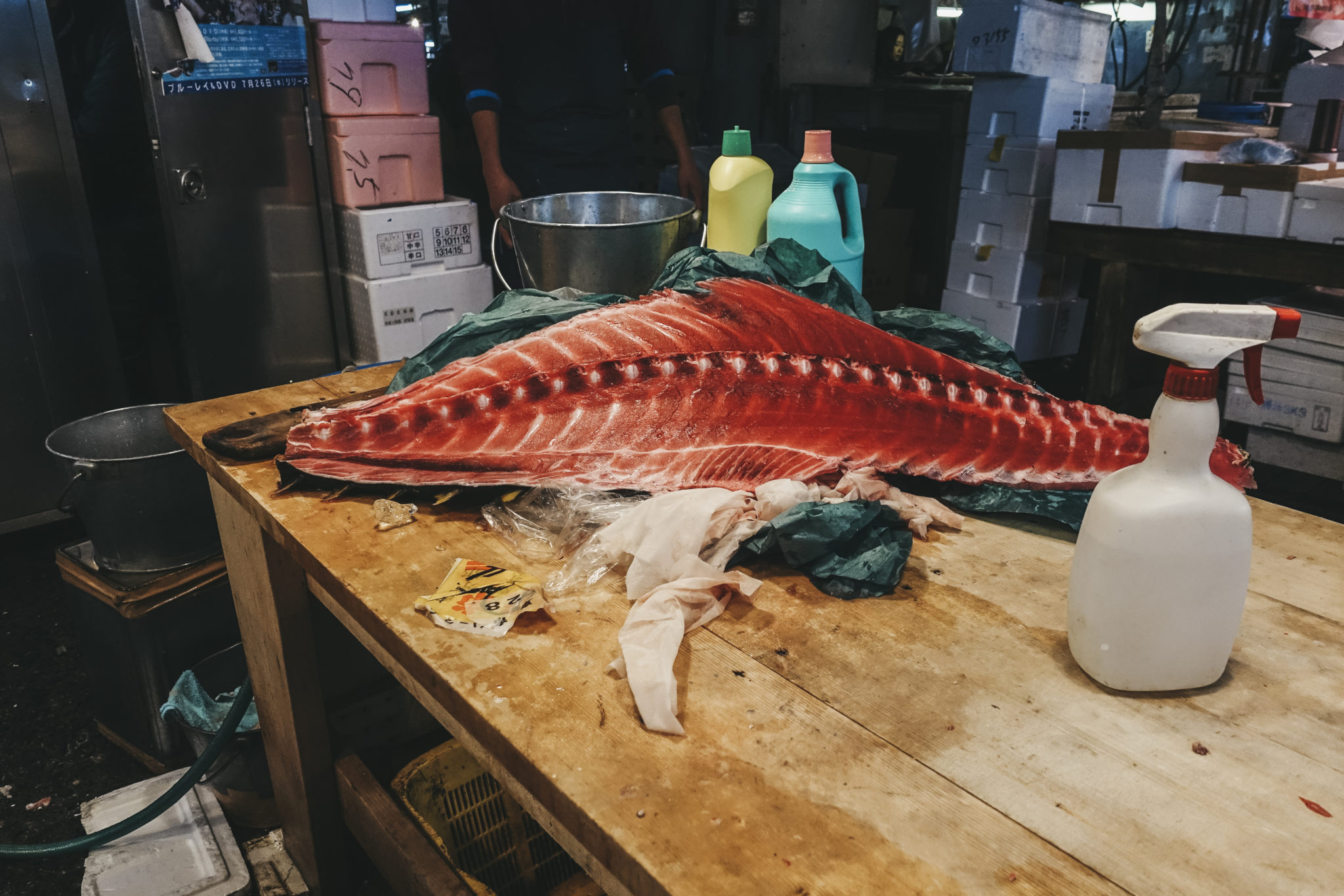 06 – Preparing the tuna