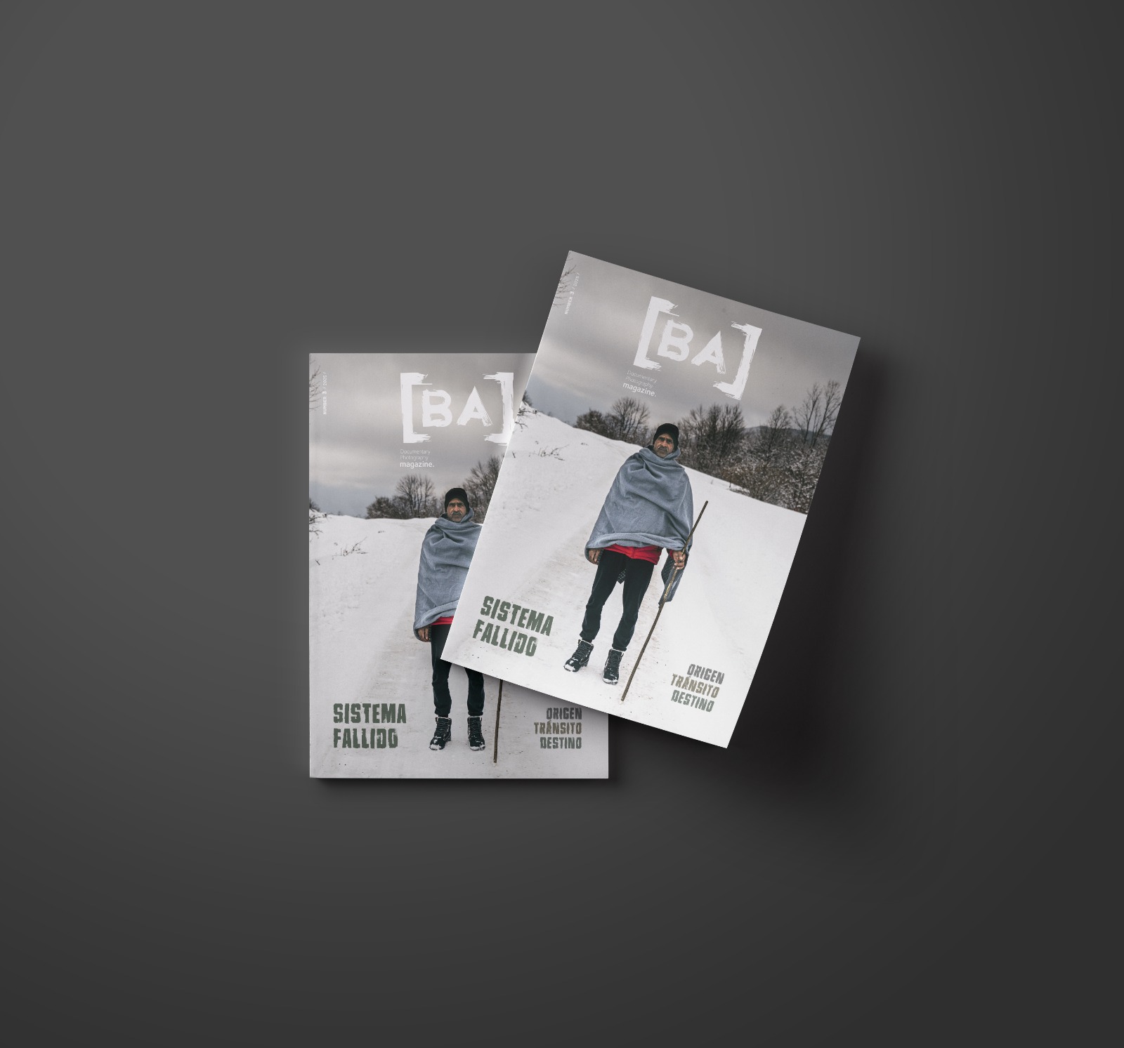 Sistema Fallido - Imagen 3