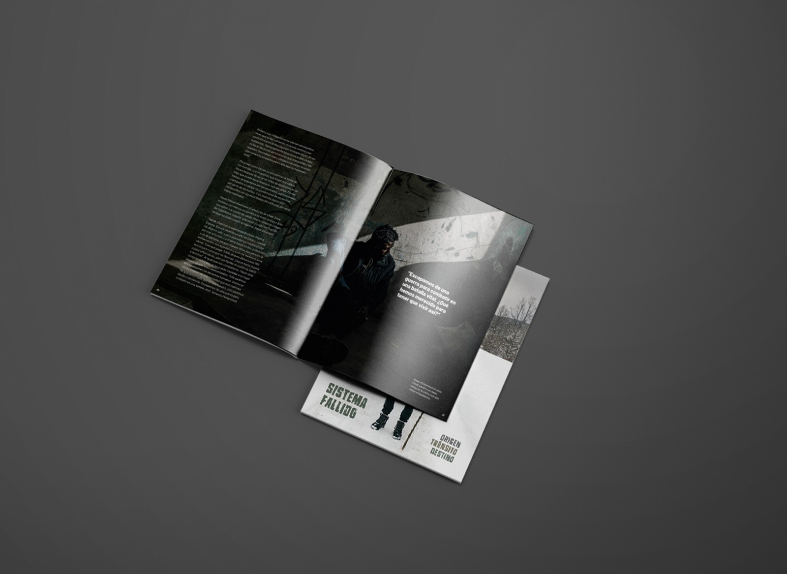 Sistema Fallido - Imagen 4